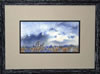 Vivian Brown-wind-thru-prairie